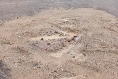 b66605f6-ca92-4c0f-a5e2-c03170a72fe9