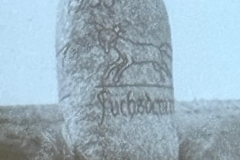 WhatsApp-Image-2026-02-19-at-12.39.34-3