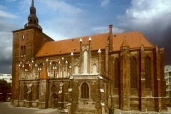 WhatsApp-Image-2026-02-19-at-12.39.34-4