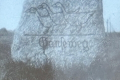 WhatsApp-Image-2026-02-19-at-12.39.36-1