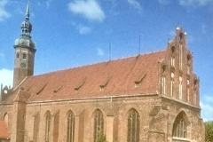 WhatsApp-Image-2026-02-19-at-12.39.36