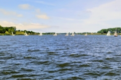 29e09908-23af-4e42-8490-826ad9021b30