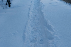 8562a8f8-404f-4be3-8f0e-37146433900a