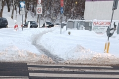 f240a469-1801-4724-9946-949e397b29e5