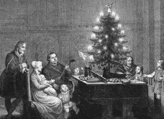 Bożonarodzeniowe drzewko – czyli krótka historia choinki