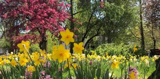 Rewitalizacja Słupska