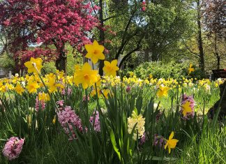 Rewitalizacja Słupska