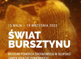 Skarb niesiony przez fale