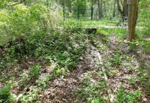 Z pociągu do samolotu