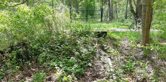 Z pociągu do samolotu