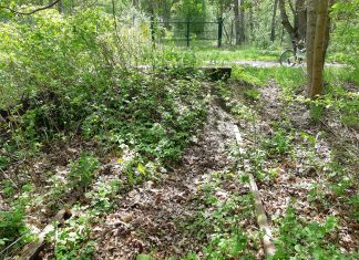 Z pociągu do samolotu