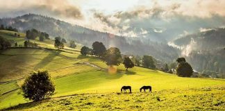 Beskidy na śląsku cieszynskim