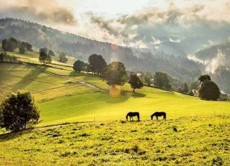 Beskidy na śląsku cieszynskim