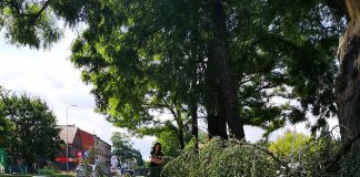 Nowa w mieście – miasto jest wytworem człowieka