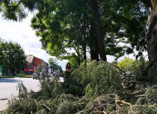 Nowa w mieście – miasto jest wytworem człowieka