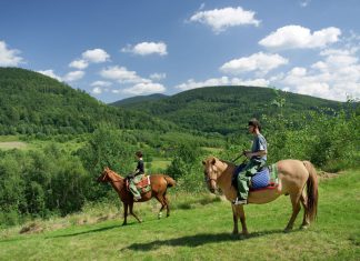 Na wakacje lub weekend – Bystrzyca Kłodzka, Sudety