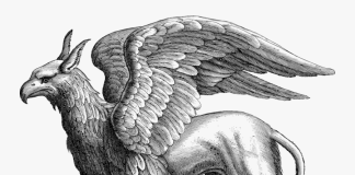 O historii gryfa – prawdziwe, lecz niezbyt poważne rozważania