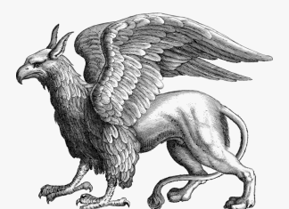 O historii gryfa – prawdziwe, lecz niezbyt poważne rozważania