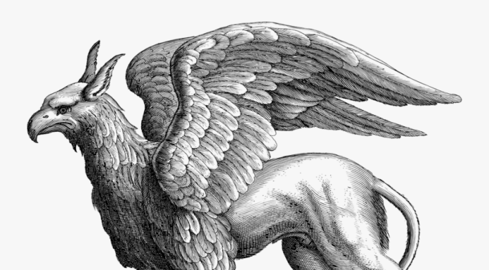 O historii gryfa – prawdziwe, lecz niezbyt poważne rozważania