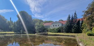 Artystka o wielu twarzach i umiejętnościach w lasach między Łupawą a Słupią
