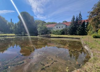 Artystka o wielu twarzach i umiejętnościach w lasach między Łupawą a Słupią
