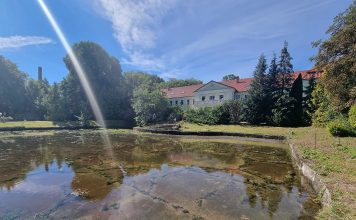 Artystka o wielu twarzach i umiejętnościach w lasach między Łupawą a Słupią