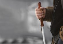 Wzrok i inne zmysły