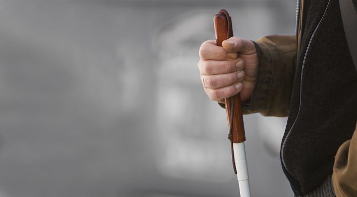 Wzrok i inne zmysły