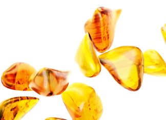 Duchołapy – Jantar