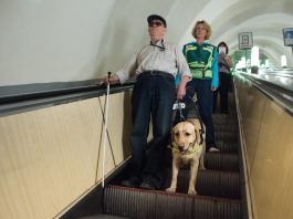 Asysta w komunikacji międzymiastowej