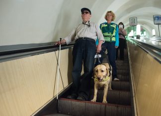 Asysta w komunikacji międzymiastowej