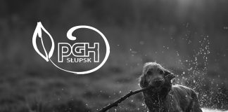 Dolina Pupilków, miejsce godnego pochówku zwierząt domowych