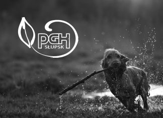 Dolina Pupilków, miejsce godnego pochówku zwierząt domowych