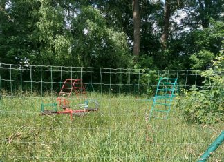 Ryczewo – jedyna dzielnica Słupska bez placu zabaw!