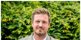 Jakiego samorządu dziś potrzebujemy?