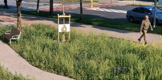 Od betonu do lebiody. Słupski Budżet Obywatelski w praktyce