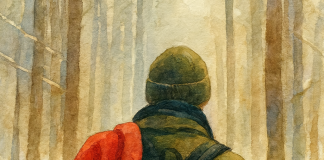 Za koc i wodę – kajdanki. Za willę plus – order