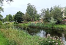 „Słupsk dla rzeki, Słupia dla miasta”*