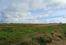 Północna strefa ciszy. Co naprawdę dzieje się z inwestycją za 67 milionów?