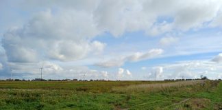 Północna strefa ciszy. Co naprawdę dzieje się z inwestycją za 67 milionów?