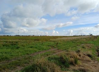 Północna strefa ciszy. Co naprawdę dzieje się z inwestycją za 67 milionów?