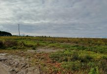 „Północna strefa cierpliwości. Publikujemy odpowiedzi miasta w sprawie inwestycji za 67 milionów”