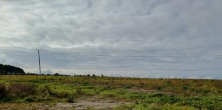 „Północna strefa cierpliwości. Publikujemy odpowiedzi miasta w sprawie inwestycji za 67 milionów”