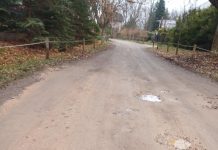 Lipowa, czyli długi spacer po krótkiej ulicy