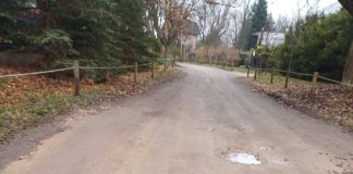 Lipowa, czyli długi spacer po krótkiej ulicy