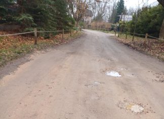 Lipowa, czyli długi spacer po krótkiej ulicy