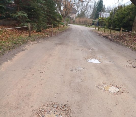 Lipowa, czyli długi spacer po krótkiej ulicy