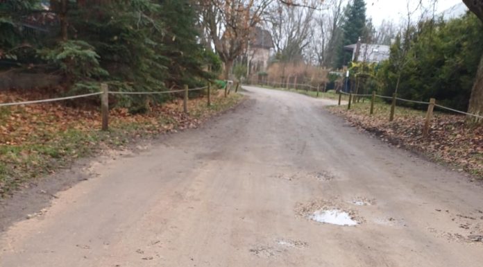 Lipowa, czyli długi spacer po krótkiej ulicy