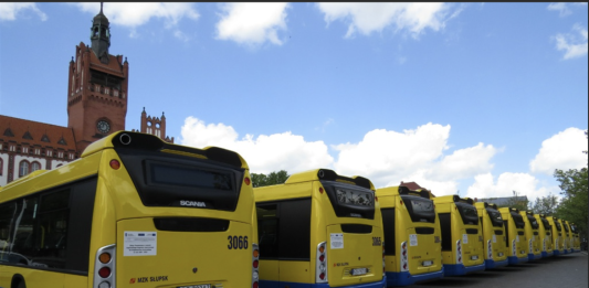 Prezes na jeden sezon – Rafał Zieliński odchodzi z MZK w Słupsku