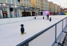 Jedno lodowisko, jeden paragraf. Jak miasto Słupsk przegrało z własną umową